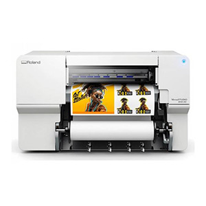 Eco-Solvent and Sublimation Printers